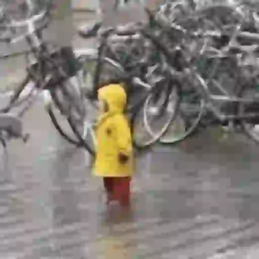 Para dias de chuva