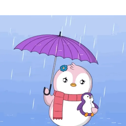 Para dias de chuva