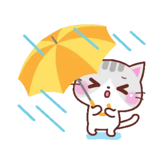 Para dias de chuva
