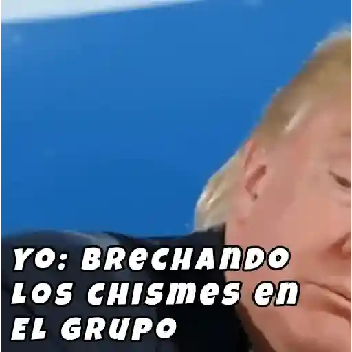 🇺🇸Donald Trump/Reacciones😆