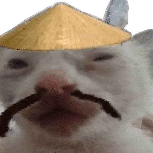 Calajo Gato 🐉