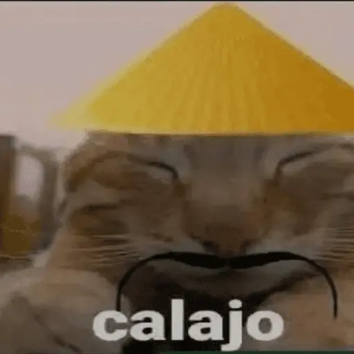 Calajo Gato 🐉