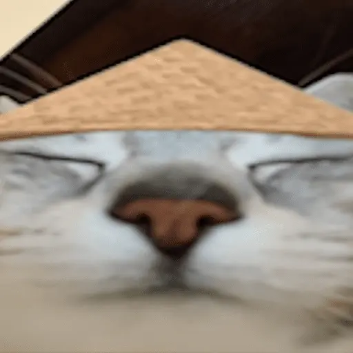 Calajo Gato 🐉