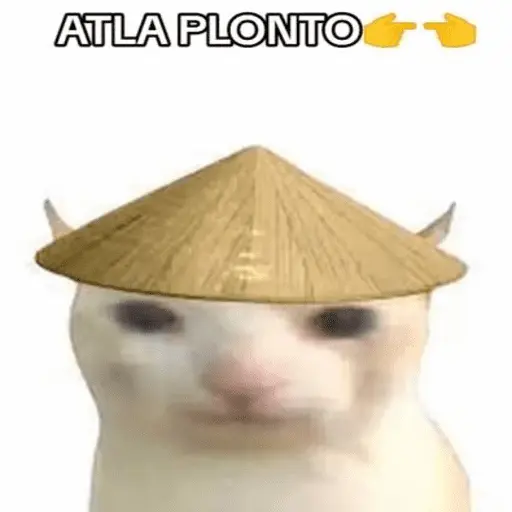 Calajo Gato 🐉