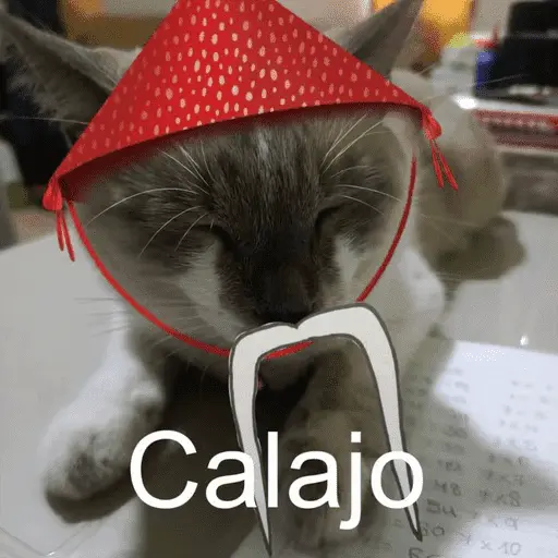 Calajo Gato 🐉