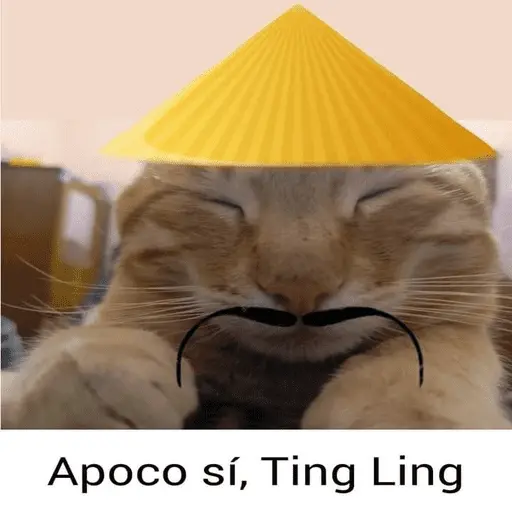 Calajo Gato 🐉
