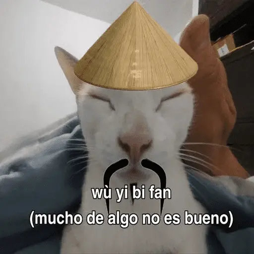 Calajo Gato 🐉