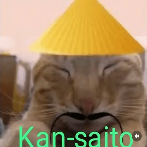 Calajo Gato 🐉