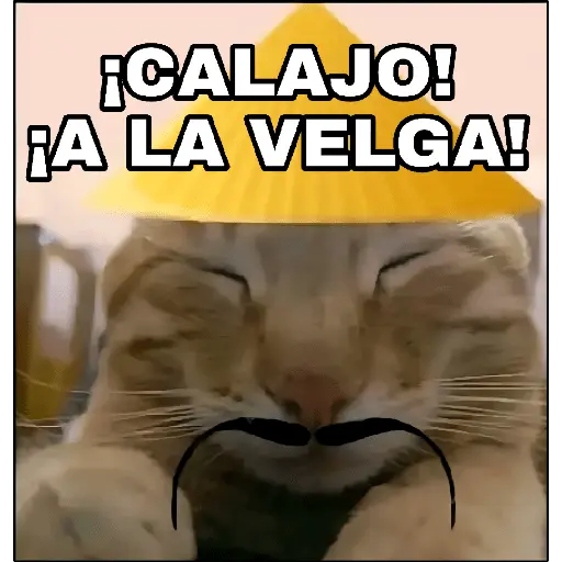 ¡Calajo!😑