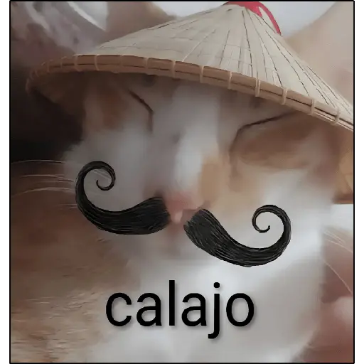 ¡Calajo!😑