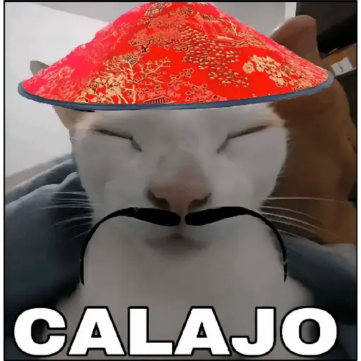¡Calajo!😑