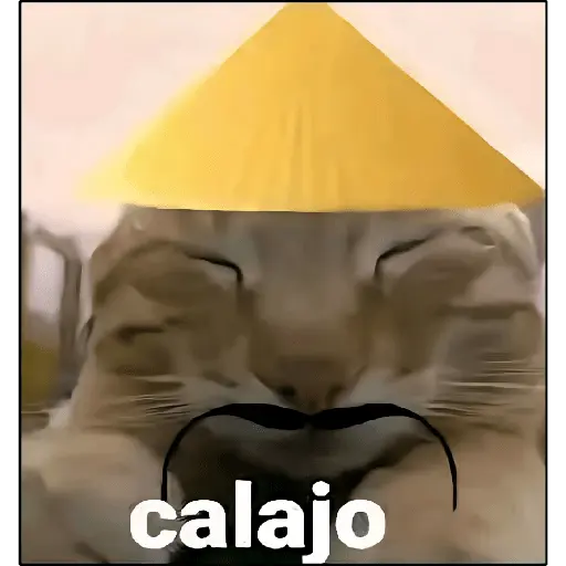 ¡Calajo!😑
