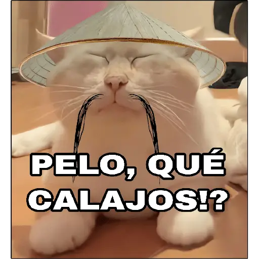¡Calajo!😑
