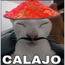 ¡Calajo!😑
