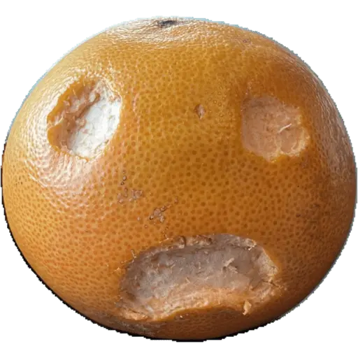 ChemScrapesToo