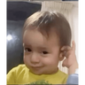 tray-icon