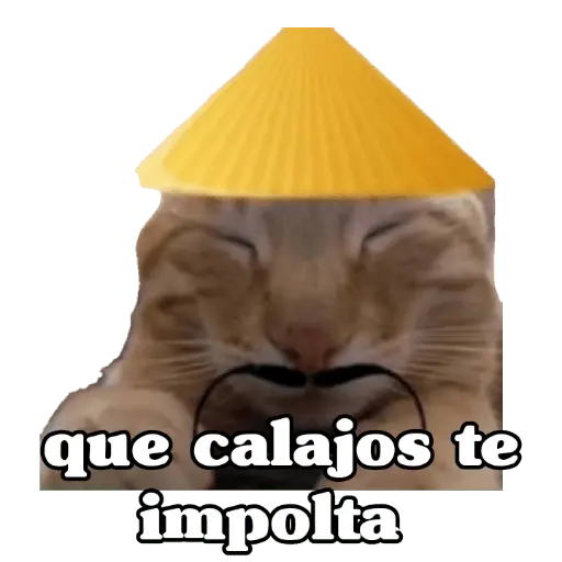 Calajo 😑‼️