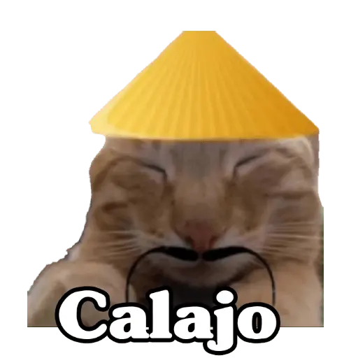 Calajo 😑‼️