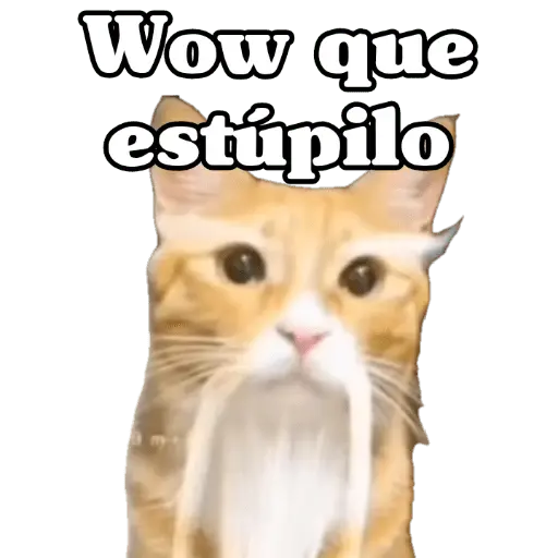 Calajo 😑‼️