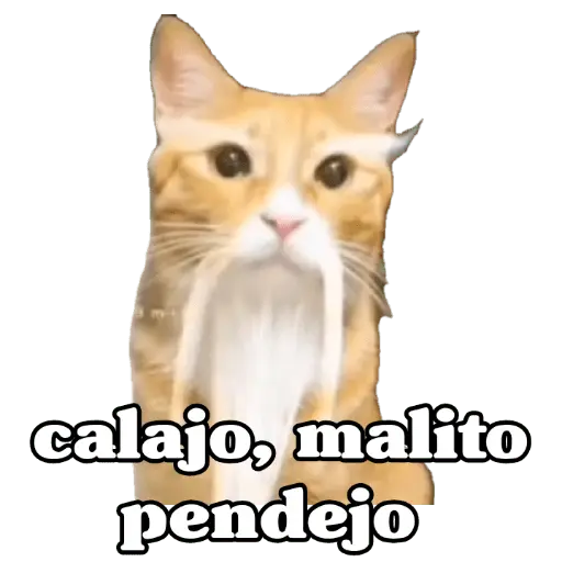 Calajo 😑‼️