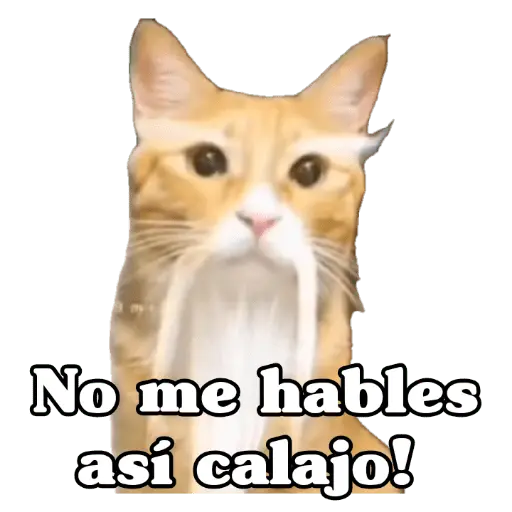 Calajo 😑‼️
