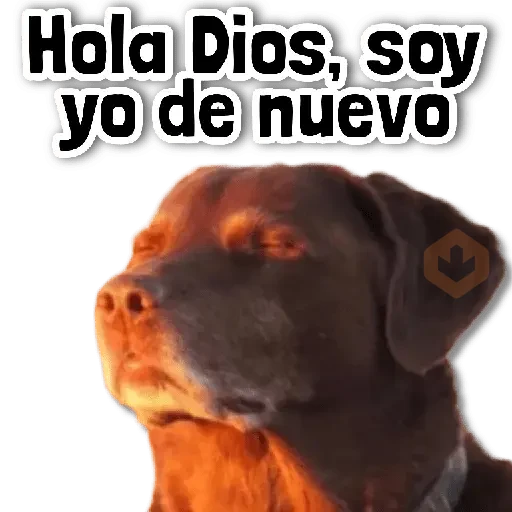 🌊 COMBO de Stickers #➊➎ sticker 15