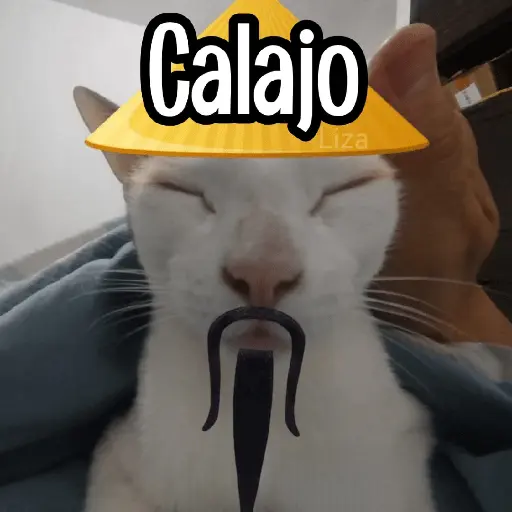 Calajo|Gato Chino 🐱🙏