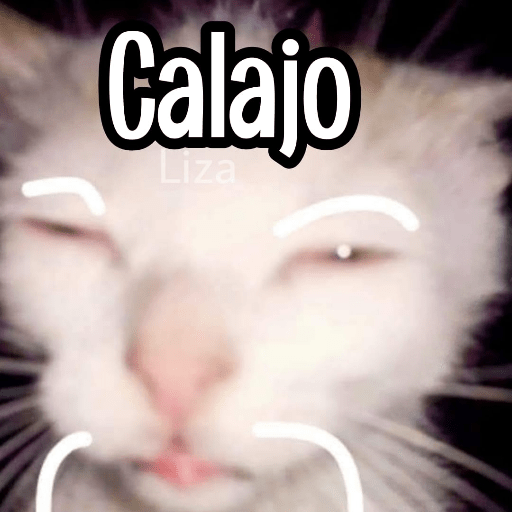 Calajo|Gato Chino 🐱🙏 preview
