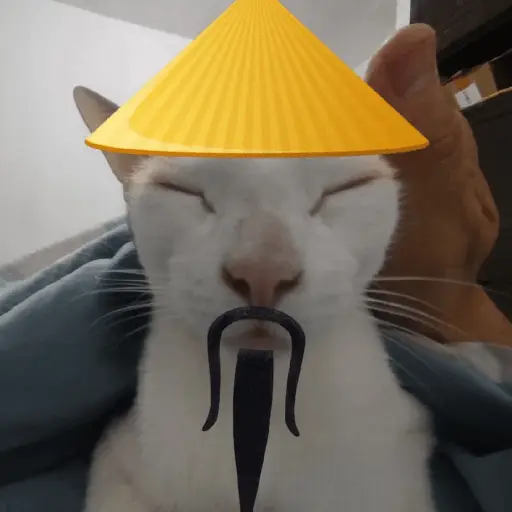 Calajo|Gato Chino 🐱🙏