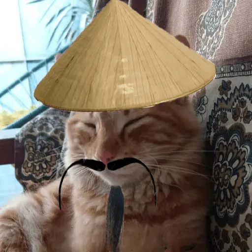 Calajo|Gato Chino 🐱🙏