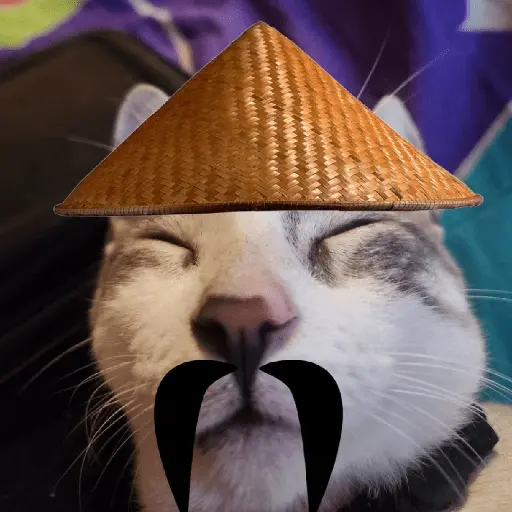 Calajo|Gato Chino 🐱🙏