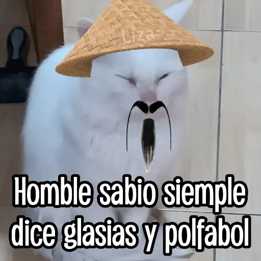 Calajo|Gato Chino 🐱🙏