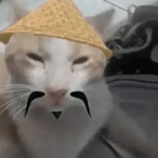 Calajo|Gato Chino 🐱🙏