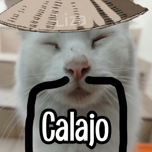 Calajo|Gato Chino 🐱🙏 preview