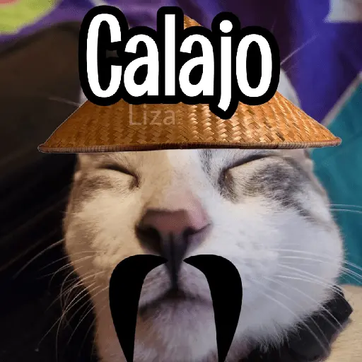 Calajo|Gato Chino 🐱🙏