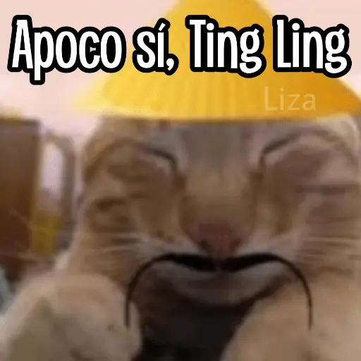 Calajo|Gato Chino 🐱🙏