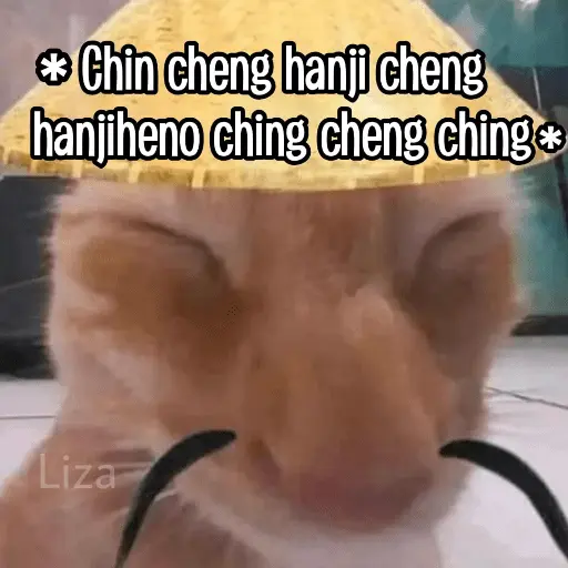 Calajo|Gato Chino 🐱🙏