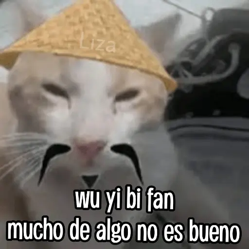 Calajo|Gato Chino 🐱🙏