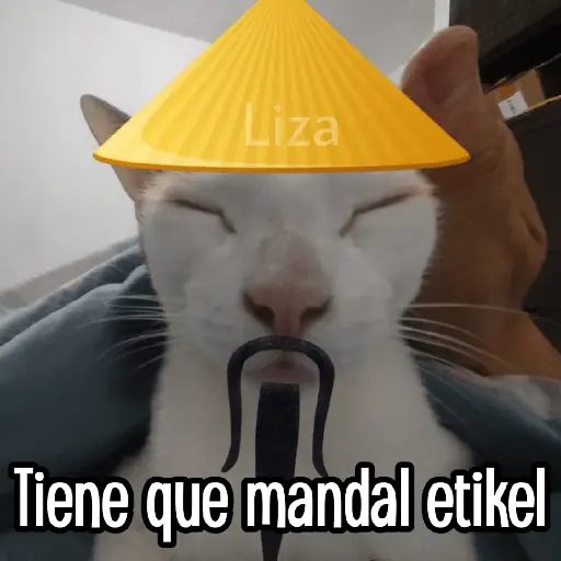 Calajo|Gato Chino 🐱🙏