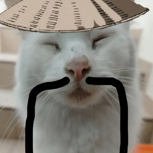 Calajo|Gato Chino 🐱🙏