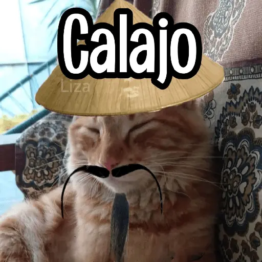 Calajo|Gato Chino 🐱🙏