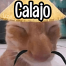 Calajo|Gato Chino 🐱🙏