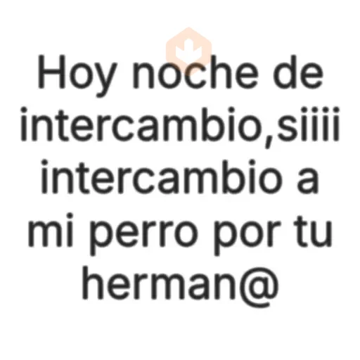 texto brat 2 sticker 16