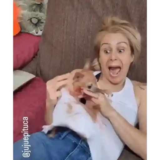 bloody funny  preview