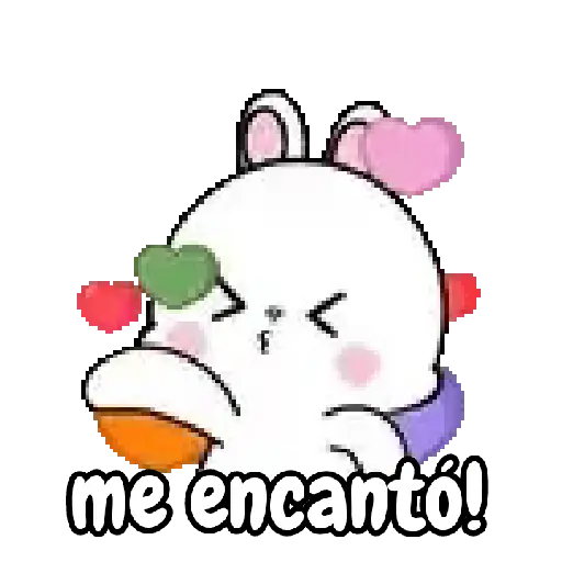 Amor lovely rabbit 💘🐰