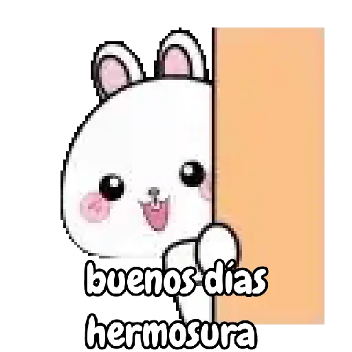 Amor lovely rabbit 💘🐰