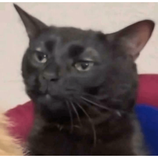 reaction meme tiktok trend📸 preview