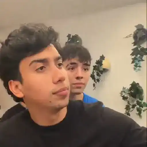 Los Bros  preview