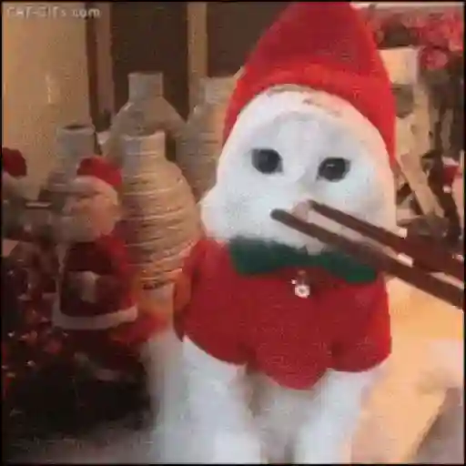 Mascotas navideñas 🎄🎅🏻😹 sticker 12