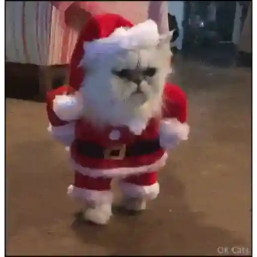 Mascotas navideñas 🎄🎅🏻😹 sticker 13